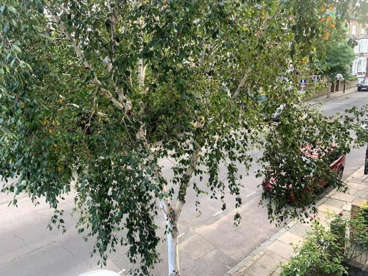 Lovely Spacious 1-Bedroom Flat In Tufnell Park Close To Central London Ngoại thất bức ảnh